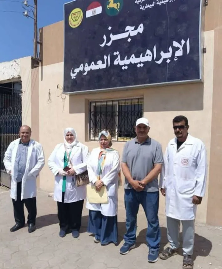 البيطري في الشرقية يوزع 561 أضحية بالمجان في اليوم الثالث من عيد الأضحى البيطري في الشرقية يوزع 561 أضحية بالمجان في اليوم الثالث من عيد الأضحى