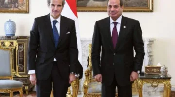جروسي: مشروع محطة الضبعة النووية سيحدث تحولاً كبيراً في اللعبة.