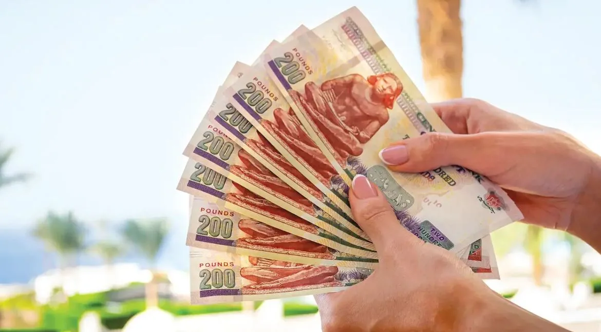 فئة المائتي جنيه تمثل 65.8% من إجمالي النقد المتداول فئة المائتي جنيه تمثل 65.8% من إجمالي النقد المتداول