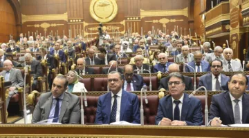 مجلس الشيوخ يستعرض تأثير التغيرات المناخية على السواحل