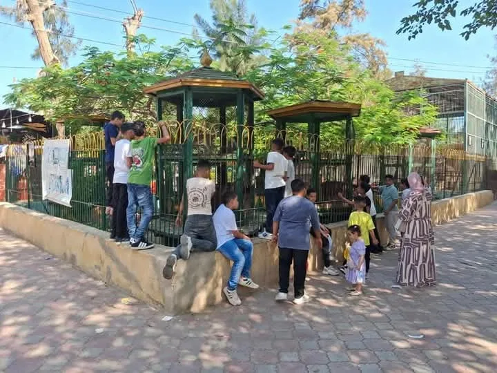 “الزراعة”: استقطبت حدائق الحيوان الإقليمية والأسماك في الزمالك أكثر من 38 ألف زائر خلال اليومين الأولين من العيد. “الزراعة”: استقطبت حدائق الحيوان الإقليمية والأسماك في الزمالك أكثر من 38 ألف زائر خلال اليومين الأولين من العيد.