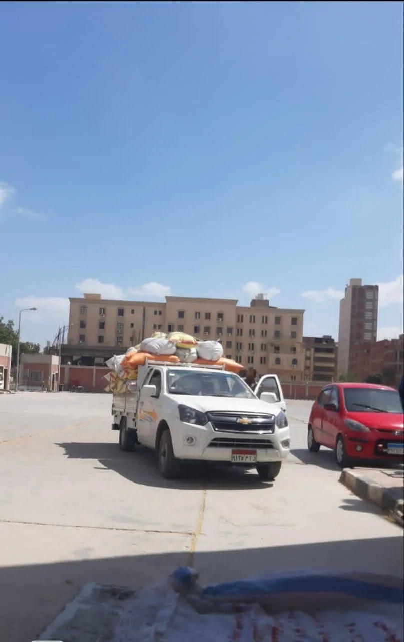 استمرار ورود الأقماح المحلية إلى الشون والصوامع في محافظة الشرقية استمرار ورود الأقماح المحلية إلى الشون والصوامع في محافظة الشرقية
