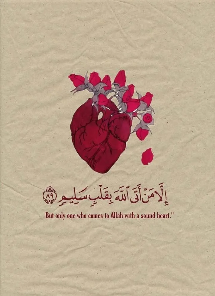 عبير منطاش تكتب.. مفتاح النجاح في القبول