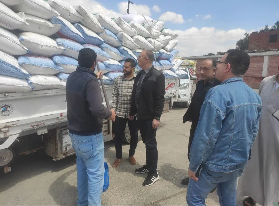 زيادة كميات القمح المحلي الموردة إلى مواقع التخزين في محافظة الشرقية زيادة كميات القمح المحلي الموردة إلى مواقع التخزين في محافظة الشرقية