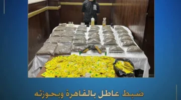 إلقاء القبض على شاب بحوزته كمية من المخدرات في القاهرة