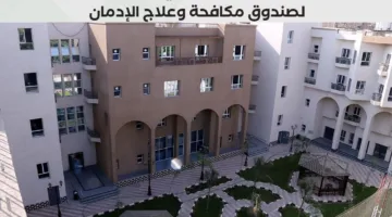 صندوق مكافحة الإدمان يقدم لمحة عن الخدمات العلاجية المتاحة للخط الساخن خلال الأشهر الخمسة الأولى من عام 2025.