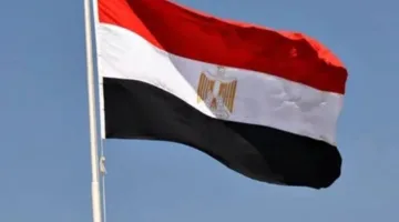 تقرير عالمي: وزارة الخارجية المصرية تشهد زيادة في النشاط والتألق في ظل الأزمات الإقليمية