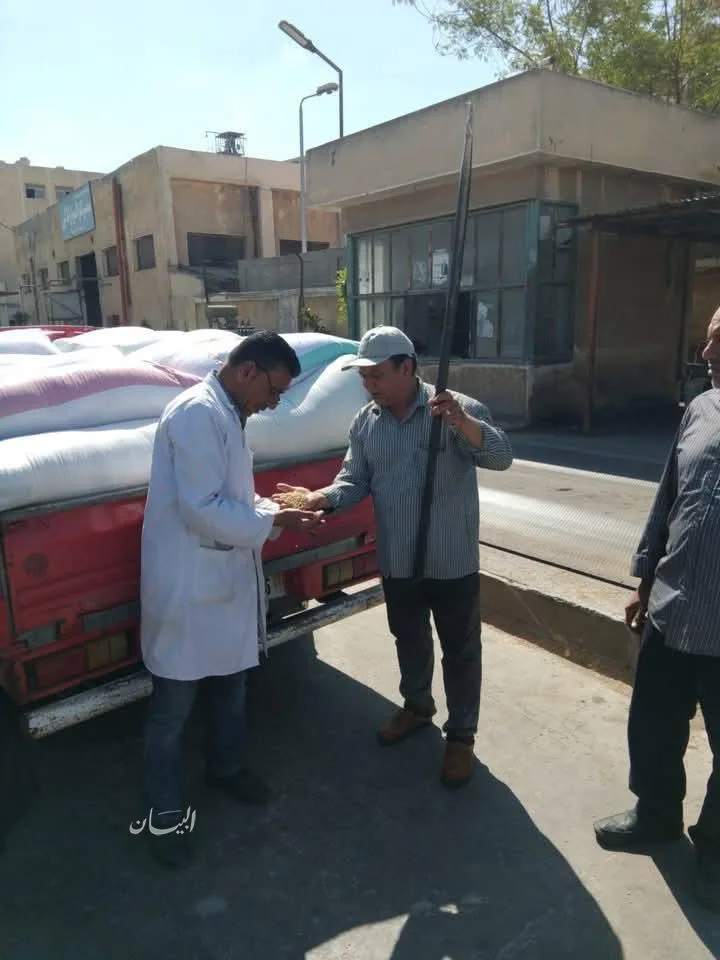 جاري تنفيذ توريدات القمح المحلي للموسم الحالي، والبحيرة تسجل أكثر من 306 ألف طن حتى صباح اليوم. جاري تنفيذ توريدات القمح المحلي للموسم الحالي، والبحيرة تسجل أكثر من 306 ألف طن حتى صباح اليوم.