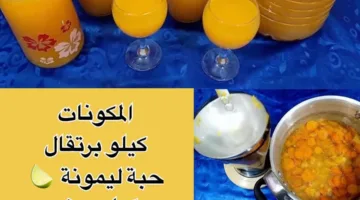 طريقة تحضير عصير بتكلفة منخفضة وبكمية وفيرة