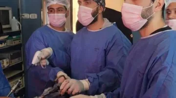 نجاح عملية استئصال الكلى بالمنظار لمريض يصاب بورم خبيث في مستشفى مبرة المحلة