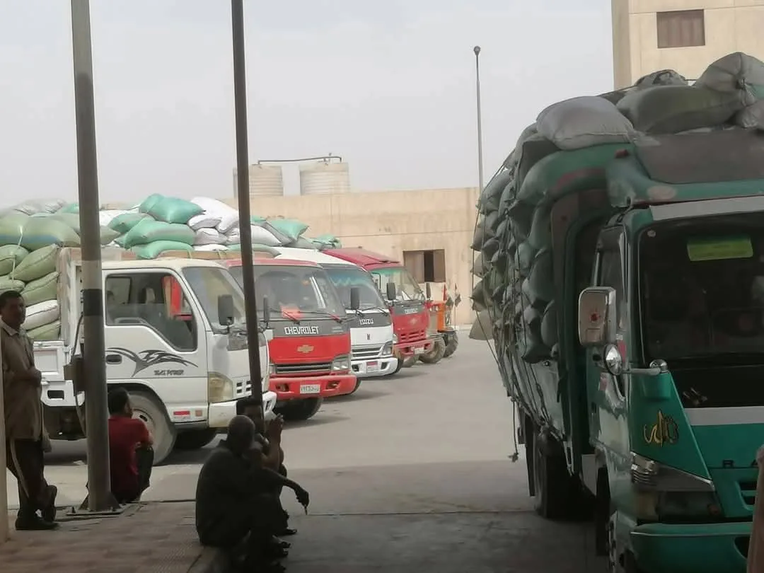 محافظ المنيا: استمرار جهود توريد القمح بإجمالي 508 آلاف طن منذ انطلاق موسم 2025 محافظ المنيا: استمرار جهود توريد القمح بإجمالي 508 آلاف طن منذ انطلاق موسم 2025