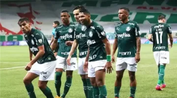 Palmeiras vs. Porto: Live Stream of the Match Now Available