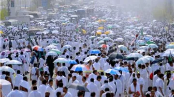 رئيس بعثة الحج: التحضيرات اكتملت لنقل حجاج بيت الله إلى ساحة عرفات