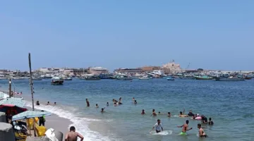 شواطئ الإسكندرية تستقطب المصطافين بتوافد معتدل في ظل حرارة الصيف وامتحانات الثانوية العامة