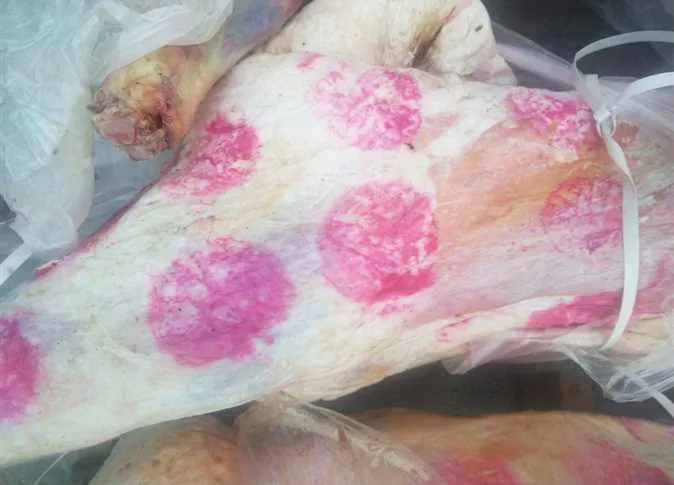 confiscation of 10 slaughtered goats outside government abattoirs and 800 kilograms of spoiled meat in Alexandria (photos)