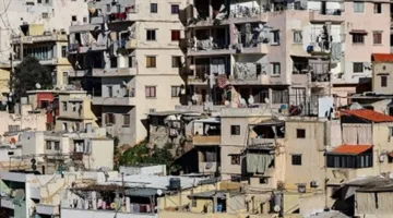 confiscation of stray cattle in Tripoli