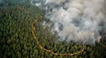 الجزائر تستأجر 12 طائرة وتطبق خطة جوية لمواجهة حرائق الصيف.