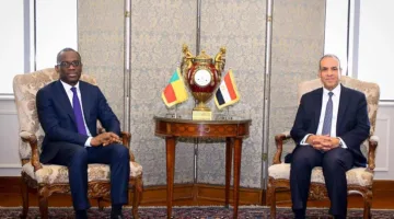 وزير الخارجية يبرز حرص مصر على تعزيز الأمن والاستقرار في منطقة الساحل وغرب أفريقيا