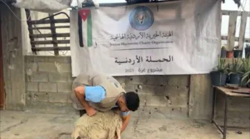 الحملة الأردنية والهيئة الخيرية الهاشمية تقدمان لحوم الأضاحي للفلسطينيين في غزة