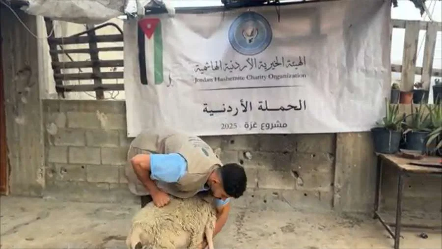 الحملة الأردنية والهيئة الخيرية الهاشمية تقدمان لحوم الأضاحي للفلسطينيين في غزة الحملة الأردنية والهيئة الخيرية الهاشمية تقدمان لحوم الأضاحي للفلسطينيين في غزة