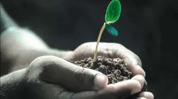 هل يُحاسَب الشخص على ما يدور في داخله من أفكار إيجابية وسلبية؟
