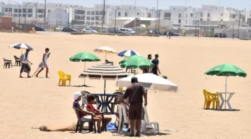 تجدد الجدل حول “الباراسولات” على الشواطئ .. وحماة المستهلك يعلنون حملة دفاعية