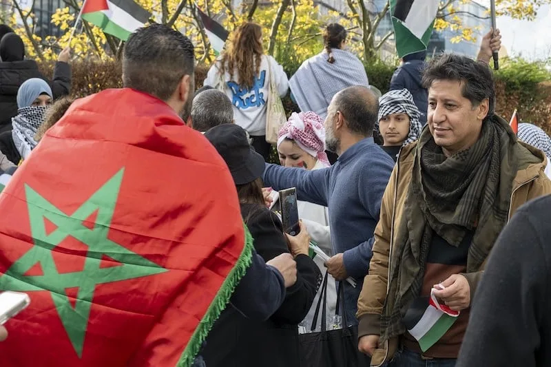 أصداء من غزّة تردد في بروكسل أصداء من غزّة تردد في بروكسل