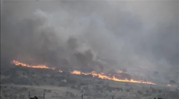 إسرائيل: نشوب حريق في منطقة غابية جنوب غرب القدس