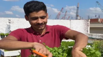 أحمد السمالوسي: الحكومة تبذل جهودًا كبيرة لدعم القطاع وتعزيز دور الفل.