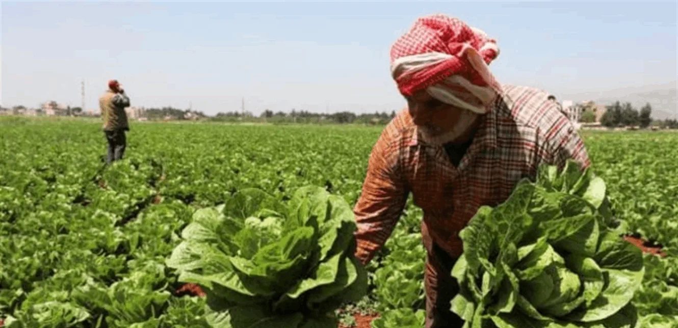 أخبار سارة للفلاحين: هذا ما تم اتخاذه من قرارات