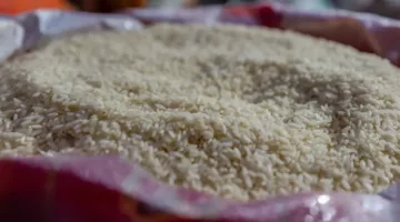 أسعار الأرز بتاريخ 10 يونيو 2025: زيادة في سعر الطن من الأرز الأبيض والشعير