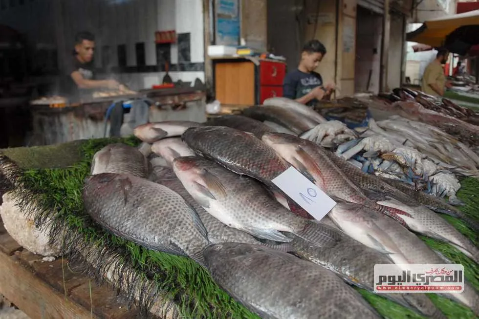 أسعار الأسماك في سوق العبور اليوم الثلاثاء: البلطي بـ83 جنيهًا