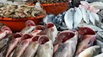 أسعار الأسماك والمأكولات البحرية في سوق العبور بتاريخ 12 يونيو 2025