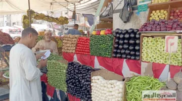 أسعار الخضروات في أسواق الإسكندرية: «الملوخية بـ20» اليوم الثلاثاء 3 يونيو 2025