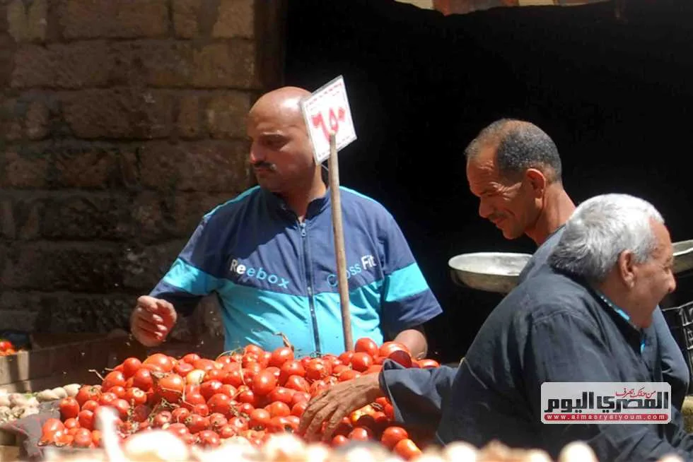 «أسعار الخضروات في أسواق الإسكندرية اليوم الاثنين 16 يونيو 2025: الكوسة بـ 25 جنيها والبطاطس بـ 5 جنيهات» «أسعار الخضروات في أسواق الإسكندرية اليوم الاثنين 16 يونيو 2025: الكوسة بـ 25 جنيها والبطاطس بـ 5 جنيهات»