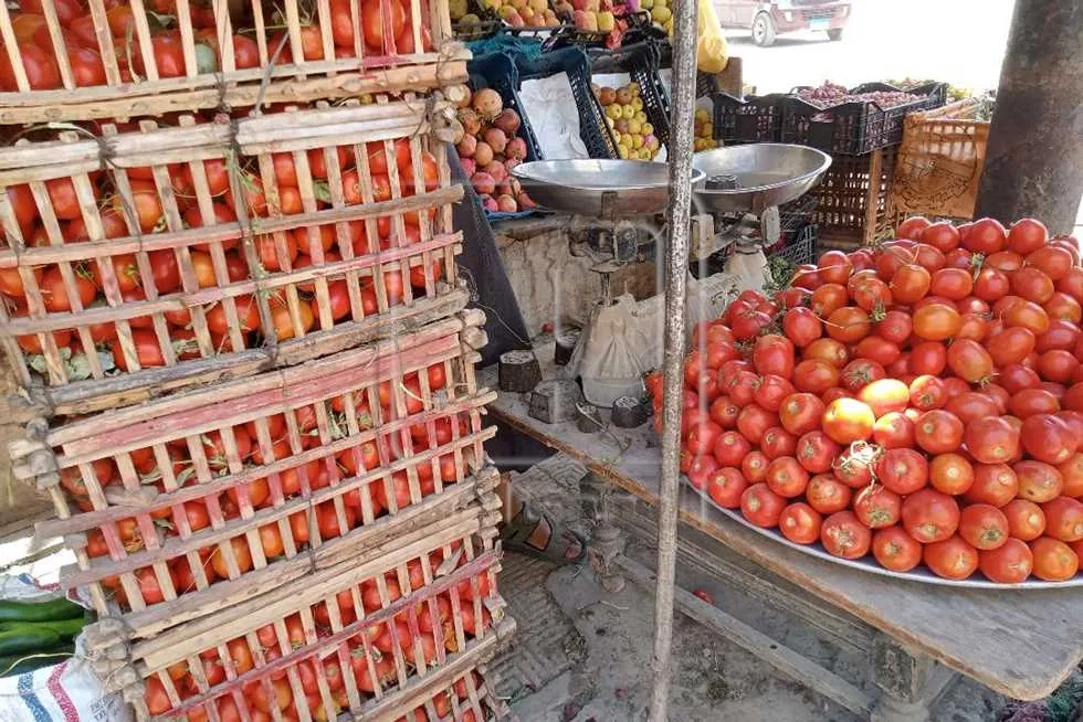 أسعار الخضروات في أسواق المنيا اليوم، الأربعاء 4 يونيو 2025، قبل ساعات من عيد الفطر أسعار الخضروات في أسواق المنيا اليوم، الأربعاء 4 يونيو 2025، قبل ساعات من عيد الفطر