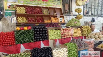 أسعار الخضروات في أسواق مطروح اليوم، الأربعاء 4 يونيو 2025