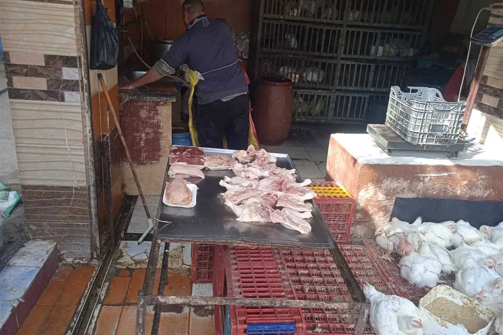 أسعار الدجاج الأبيض اليوم الثلاثاء 3 يونيو في كفر الشيخ أسعار الدجاج الأبيض اليوم الثلاثاء 3 يونيو في كفر الشيخ