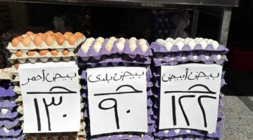 أسعار الدواجن والبيض في دمياط