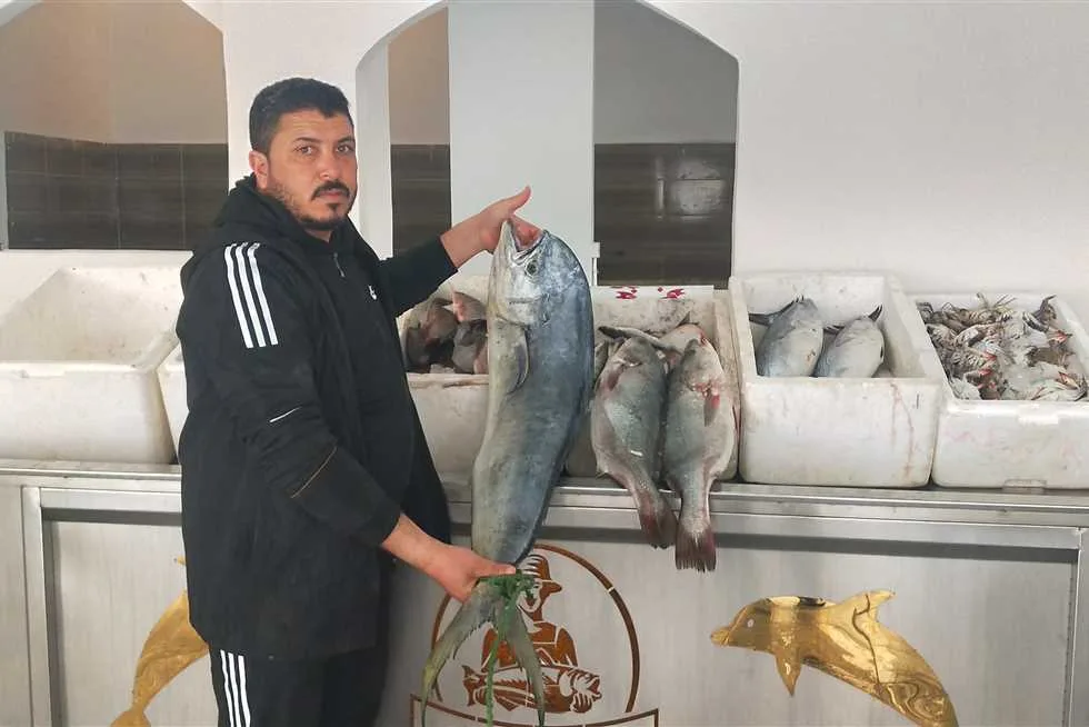 أسعار السمك في مطروح تشهد ارتفاعاً اليوم: الجمبري يتجاوز 600 جنيه للكيلو أسعار السمك في مطروح تشهد ارتفاعاً اليوم: الجمبري يتجاوز 600 جنيه للكيلو