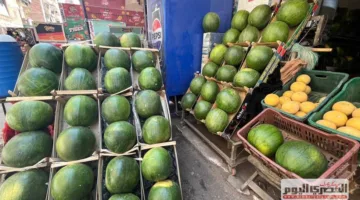أسعار الفواكه في وكالة الحضرة وأسواق الإسكندرية بتاريخ الثلاثاء 3 يونيو 2025