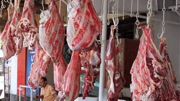 أسعار اللحوم في أول أيام عيد الأضحى: الكندوز بـ 350 جنيها أسعار اللحوم في أول أيام عيد الأضحى: الكندوز بـ 350 جنيها