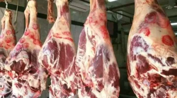 أسعار اللحوم في الأسواق خلال اليوم الثالث من عيد الأضحى