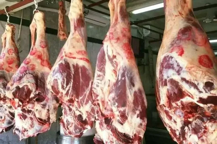 أسعار اللحوم في الأسواق خلال اليوم الثالث من عيد الأضحى أسعار اللحوم في الأسواق خلال اليوم الثالث من عيد الأضحى