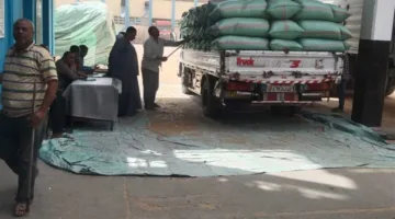 أسوان تحقق أكثر من 100% من الهدف المحدد لإنتاج القمح