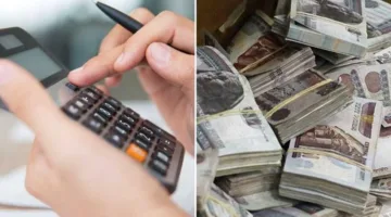أعلى عوائد شهرية وسنوية: أبرز شهادات الادخار في البنك الأهلي المصري (التفاصيل)