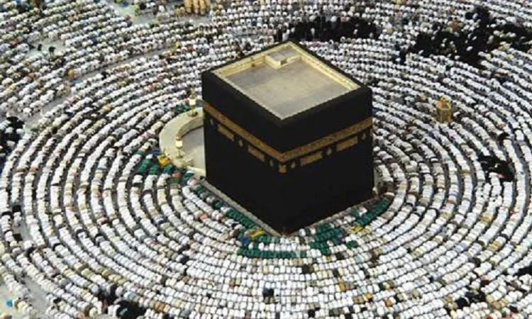 أكثر من 3 ملايين شخص استفادوا من خدمات وزارة الشؤون الإسلامية خلال موسم الحج 1446هـ أكثر من 3 ملايين شخص استفادوا من خدمات وزارة الشؤون الإسلامية خلال موسم الحج 1446هـ