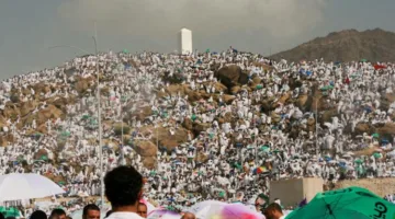 أمين الفتوى: الوقوف على عرفة يذكرنا بالمثول أمام الله يوم القيامة