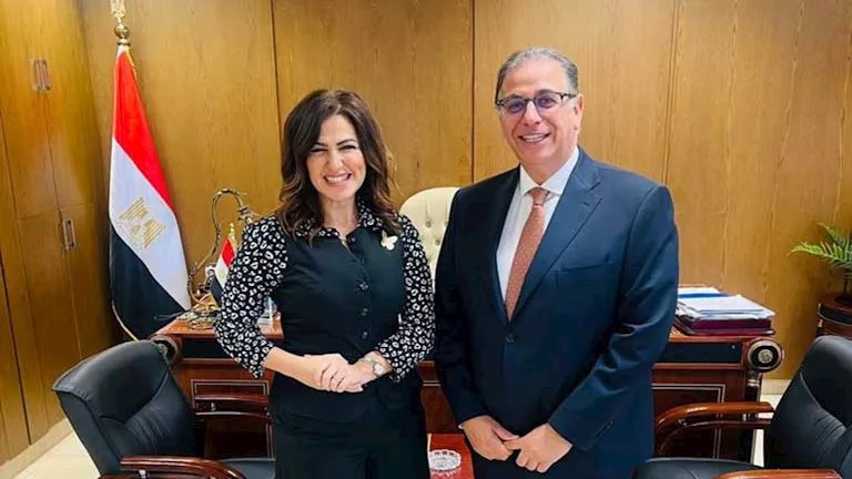 أمين شؤون المواطنين المصريين في الخارج: المصريون في الخارج يساهمون في تشكيل أمين شؤون المواطنين المصريين في الخارج: المصريون في الخارج يساهمون في تشكيل