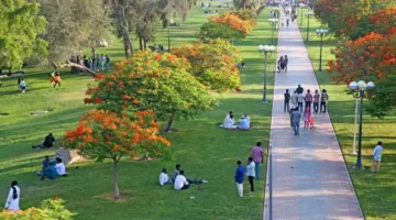 أنشطة ترفيهية وعروض رائعة تزين احتفالات دبي